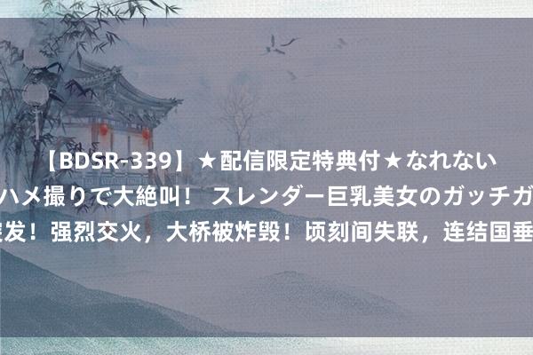 【BDSR-339】★配信限定特典付★なれない感じの新人ちゃんが初ハメ撮りで大絶叫！ スレンダー巨乳美女のガッチガチ生本番。12人4時間 突发！强烈交火，大桥被炸毁！顷刻间失联，连结国垂危发声！公安机关公通畅缉：明学昌、明国平、明菊兰、明珍珍