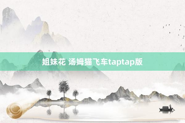 姐妹花 汤姆猫飞车taptap版