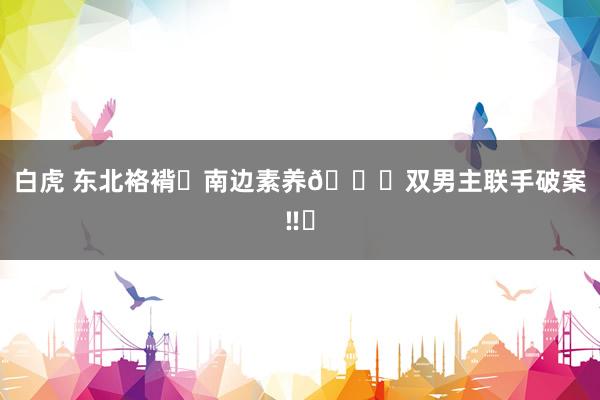 白虎 东北袼褙❌南边素养🆘双男主联手破案‼️