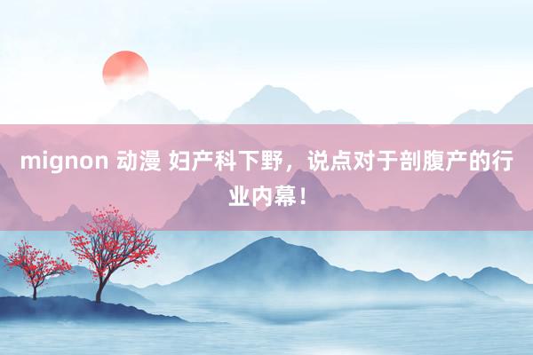 mignon 动漫 妇产科下野,说点对于剖腹产的行业内幕!