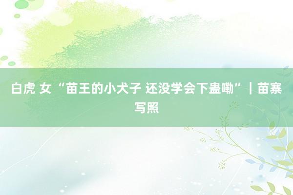 白虎 女 “苗王的小犬子 还没学会下蛊嘞”｜苗寨写照